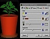 DesktopPlant 2.3.4 썸네일